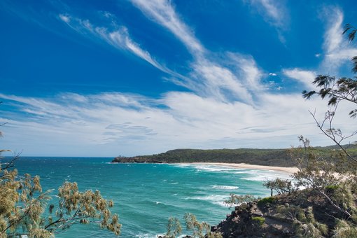 Nature on The Sunshine Coast