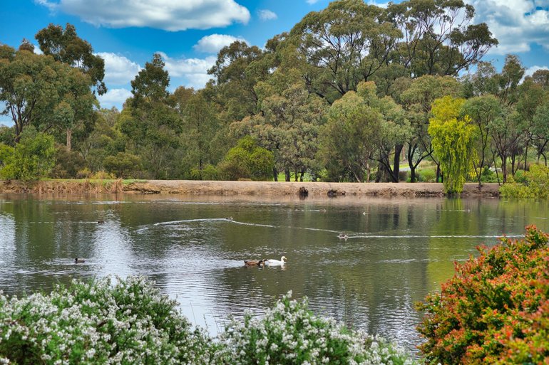 Waterbirds are only one type of wildlife that you'll find in these gardens