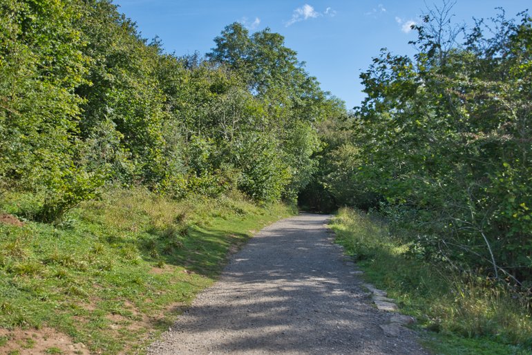 The Track at Aysgarth Falls