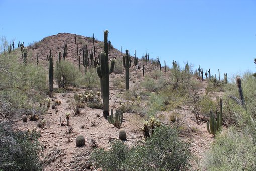 A day in Phoenix, Arizona