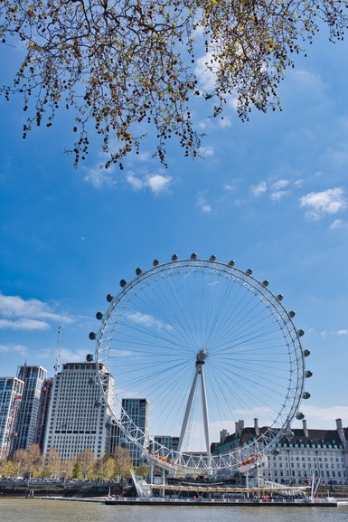 The view from the other side of the river of the London Eye