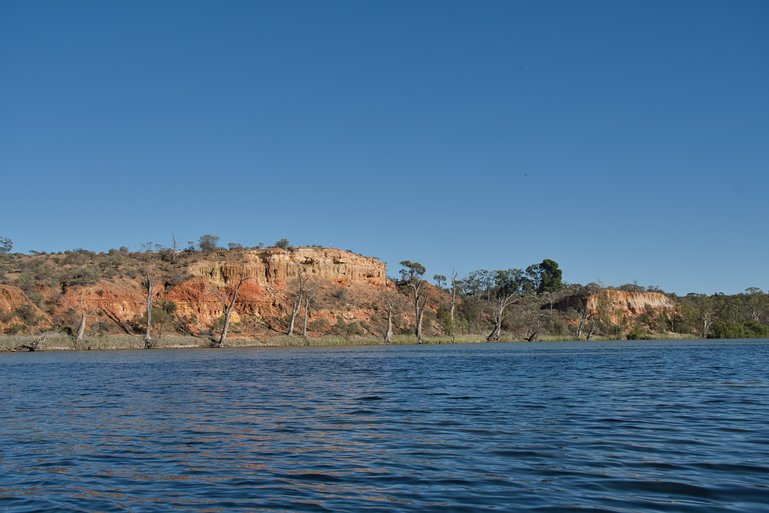                                                                             The cliffs and lookout at Wilabalangal Nature Reserve as seen from the Murray River.