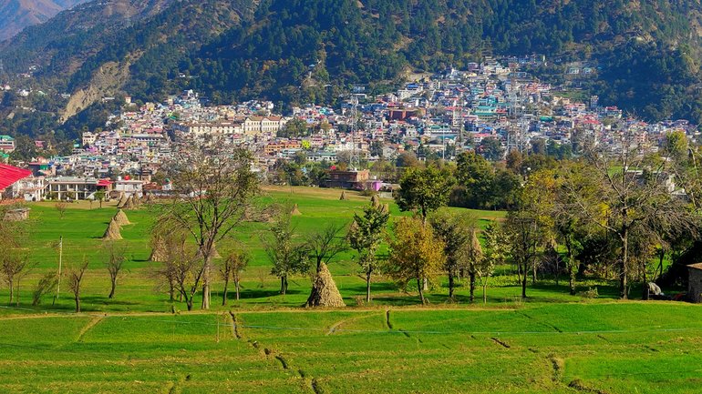 Look at the dense greenery in Khajjiar Road....