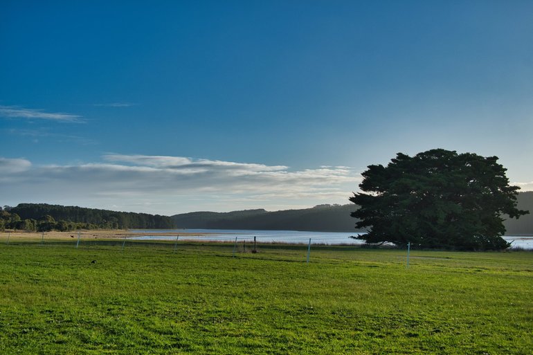 The walk takes you beside the water, and across grassy plains