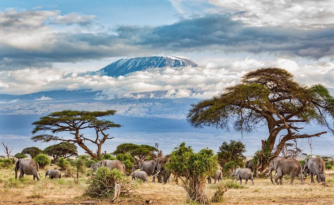 Kilimanjaro 6 days hike (Machame route) | Triptipedia