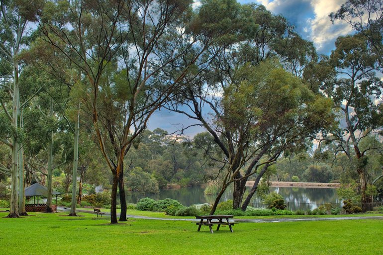 Enjoy a picnic by the lake