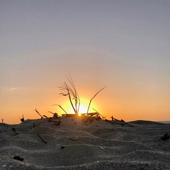 Stunning sunset, Celestun