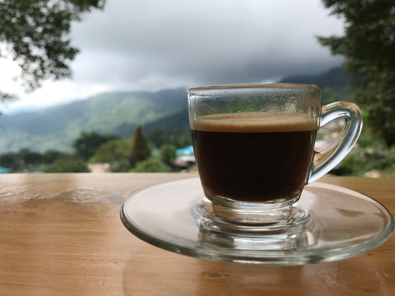 Delicious coffee with an incredible view at Ban Mong Doi Pui Coffee