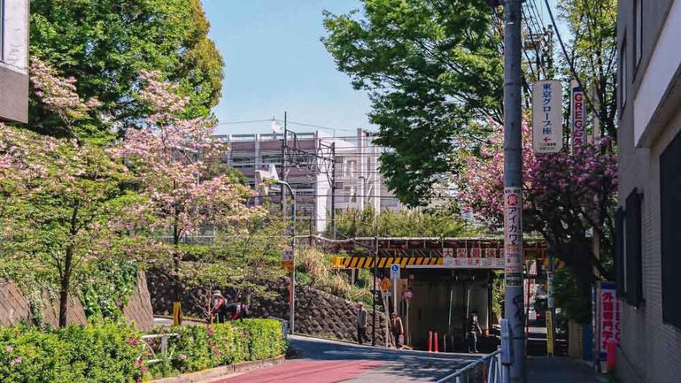 Sakura trees bloom near one of the station in Tokyo