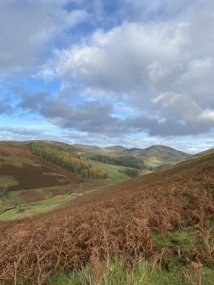 View from almost half way up the big hill (Pentlands, Edinburgh)