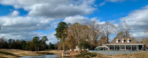 A Slow Southern Swing (St. Francisville, Louisiana)