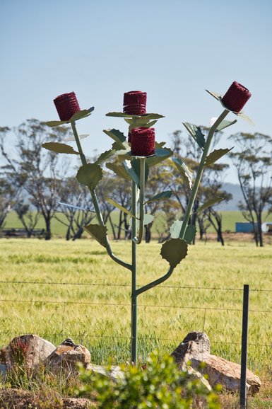 Scarlet Banksia - Hopetoun Ravensthope Road.