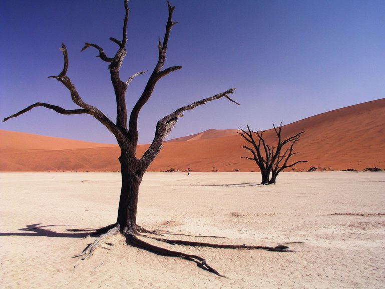 Sossusvlei-Deadvlei