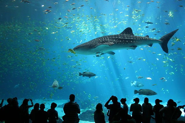 Lisbon Aquarium