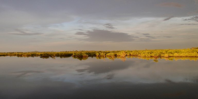 landscape of Cambodia