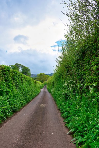 A single lane road on the back roads of Exmoor