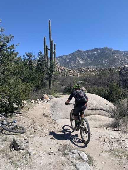 Golder Ranch Trails near Tucson