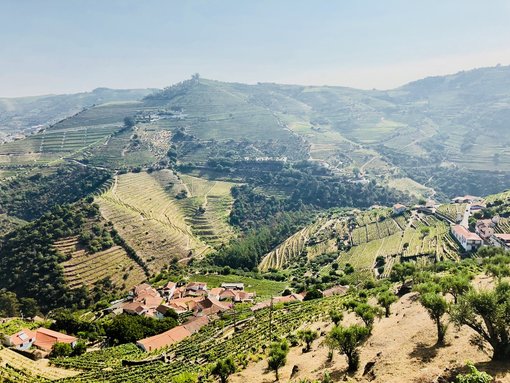 Porto - Land of Wine and Sunny