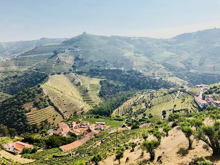 Douro Valley