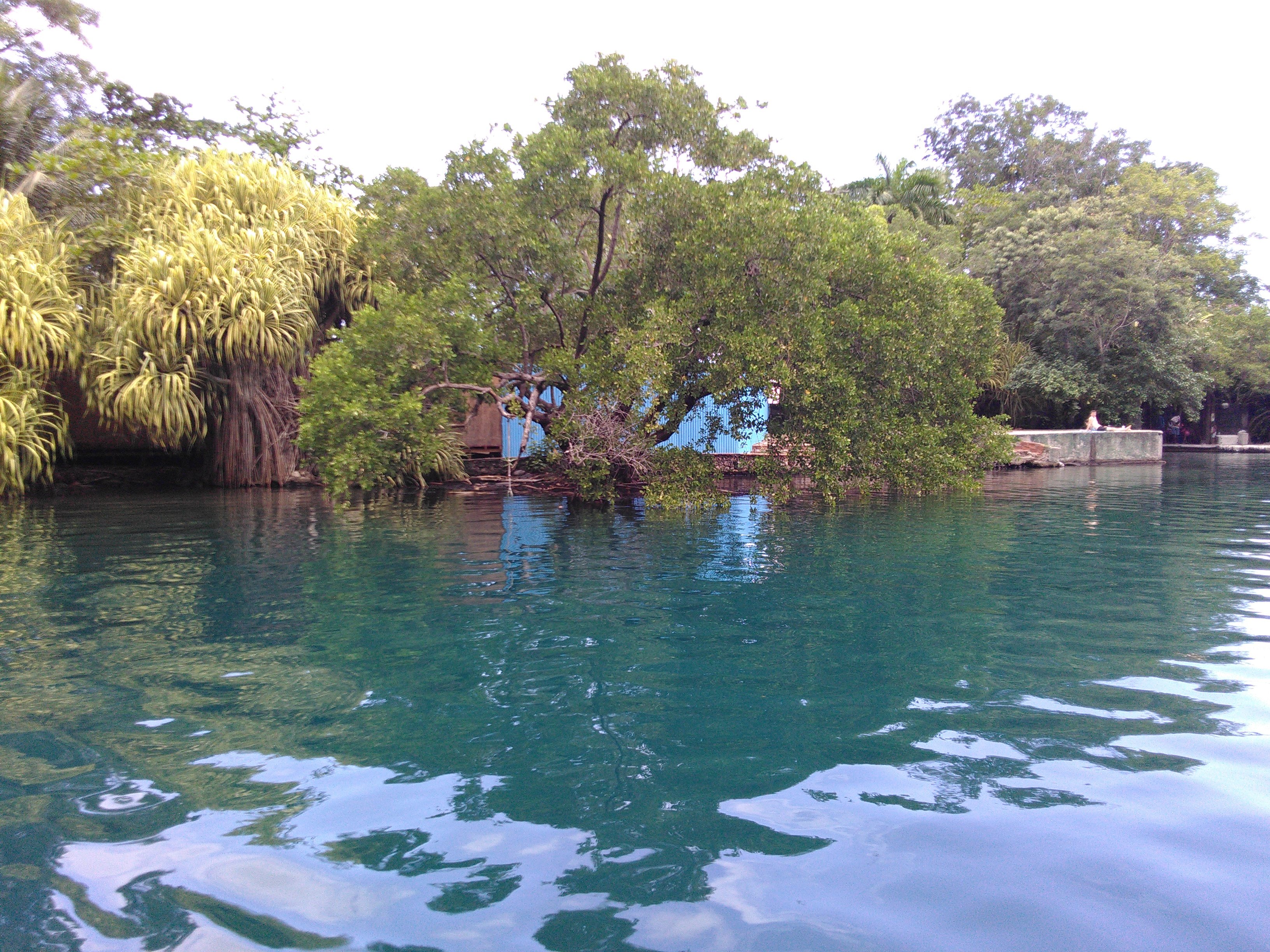 Overview Of Blue Lagoon In Portland Jamaica