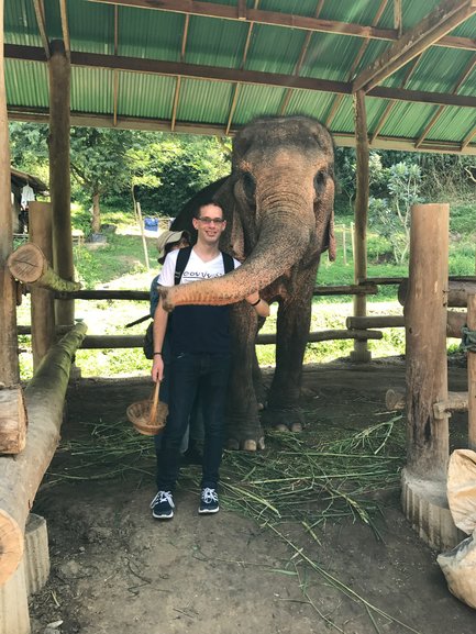 Face to face with elephants in Mae Rim.