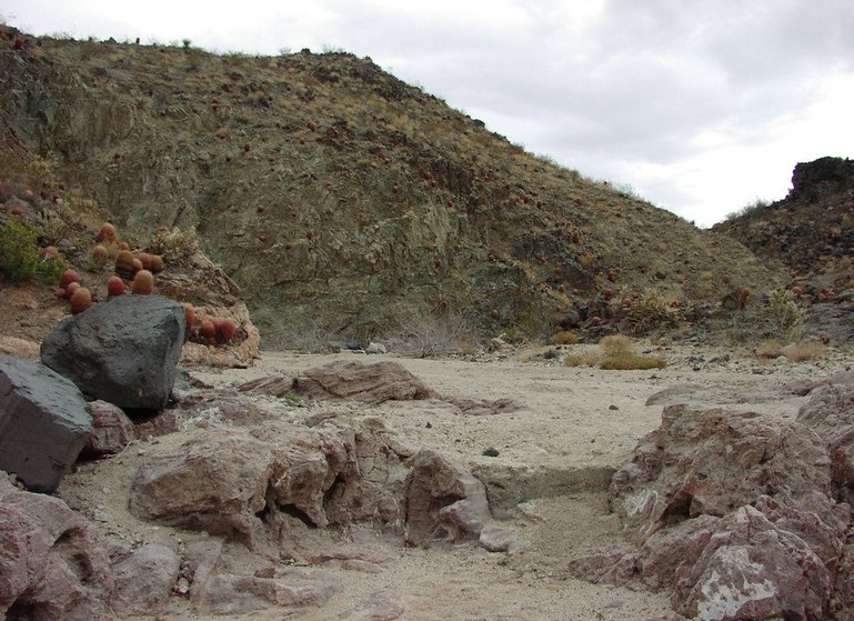 Mohave National Preserve