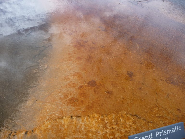 Grand Prismatic Spring