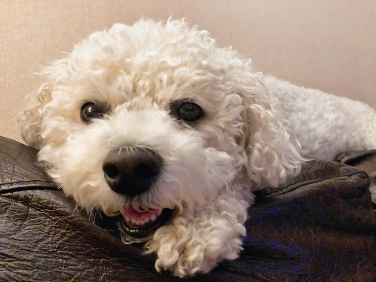 There's nothing better than seeing a smile on their faces while the homeowners are away.