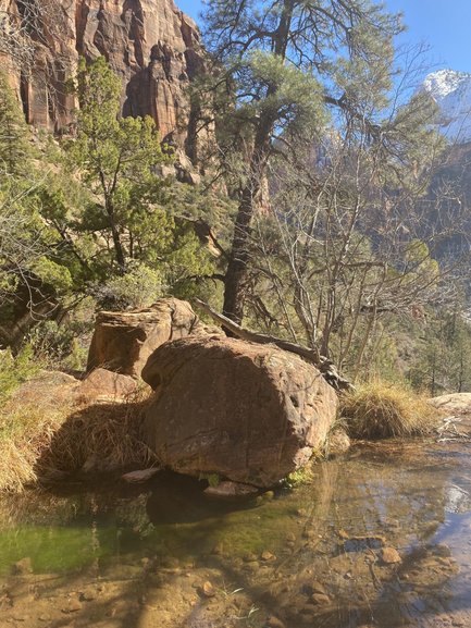 View from Emerald Pools Trail at Zion National Park