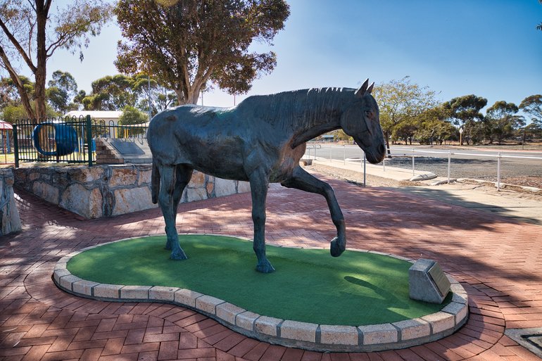 Hardy Norseman, the horse that found a gold nugget in Norseman.