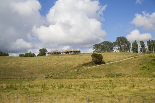 Farm to table food in New Zealand