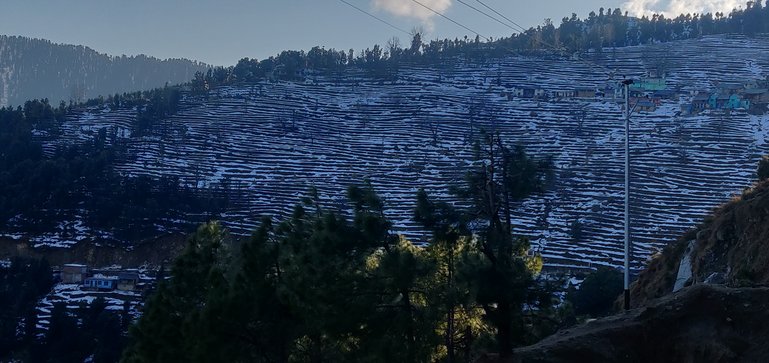 Step Farming in Khajjiar....