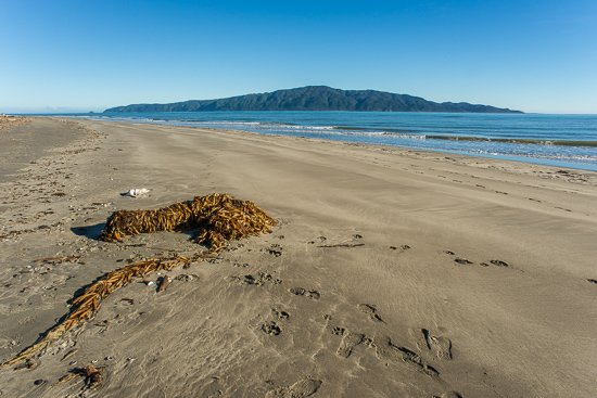 Paraparaumu Beach