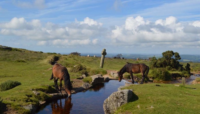Dartmoor National Park