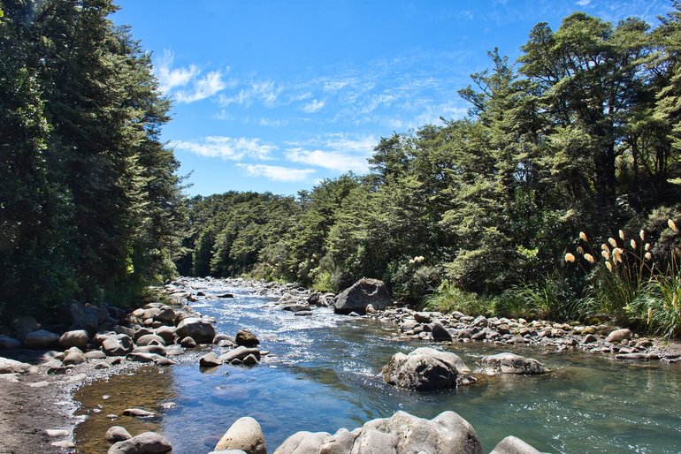 The Whakapapanui river down from the falls