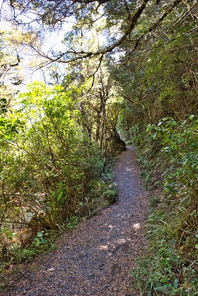 The track is good to Silica Rapids with a few stairs and steep sections