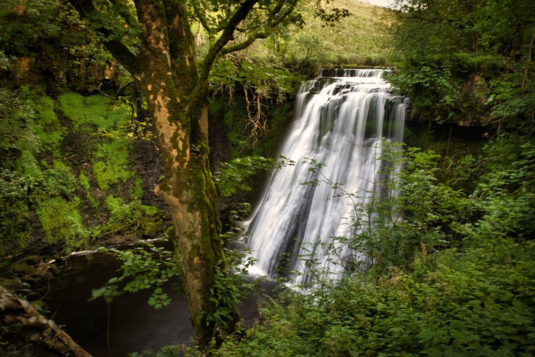 The impressive drop of Aysgill Force