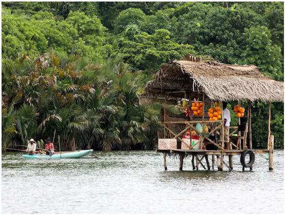 Bentota River safari