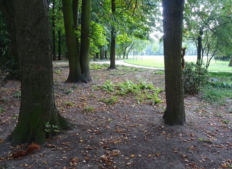 Lazienki Park, Warsaw