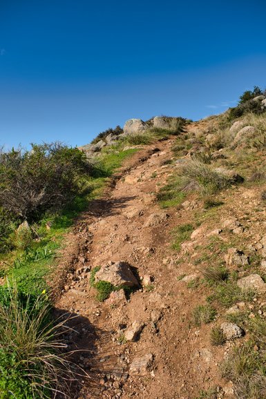 One of the tracks leading to the top of The Bluff