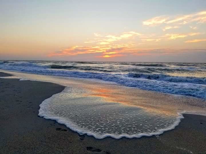 Southeastern NC (Pix compliments of my friend Ella D)