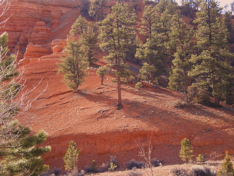 Red  Canyon