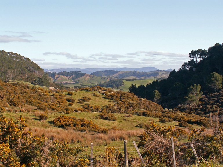 The views along the track to Cathedral Cove.