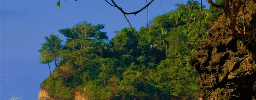 A Guide to Manuel Antonio National Park, Costa Rica