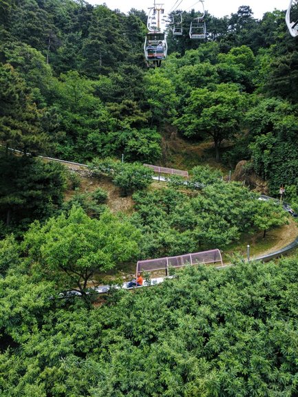 A view of the Toboggan slide from the Gondola.