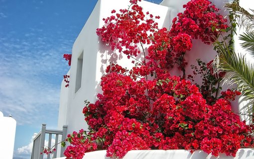 Luxury Accommodation in Mykonos