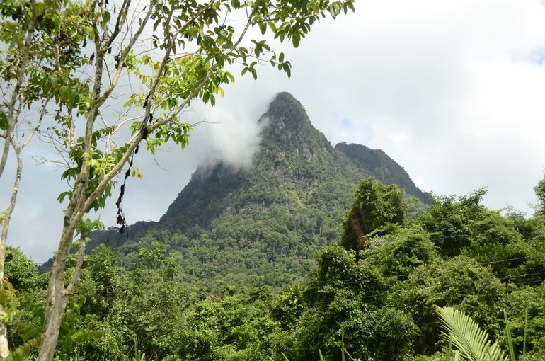 Bako Nationalpark