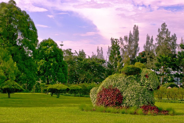 Taman Bunga Nusantara (Flower Garden) of Cianjur, by Blue Merlin