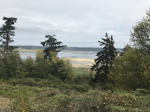 Explore the Great Outdoors with A Visit to Whidbey Island and Fort Casey