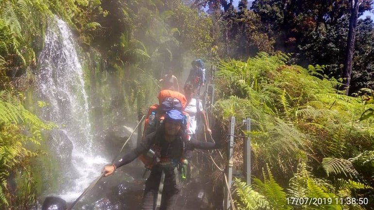 Tropical Rain Forest Mount Gede Pangrango West Of Java